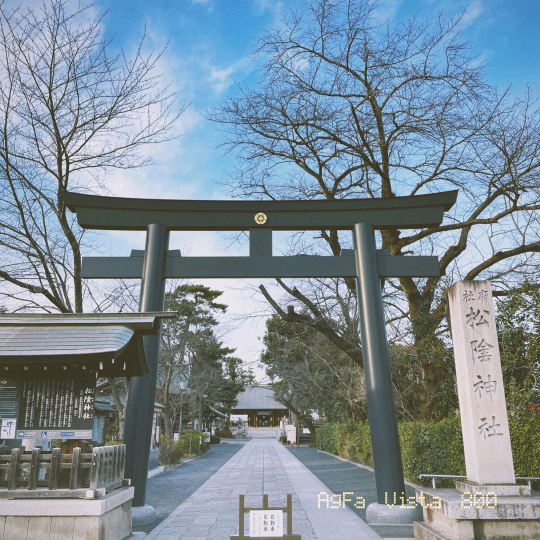 世田谷文学馆图片