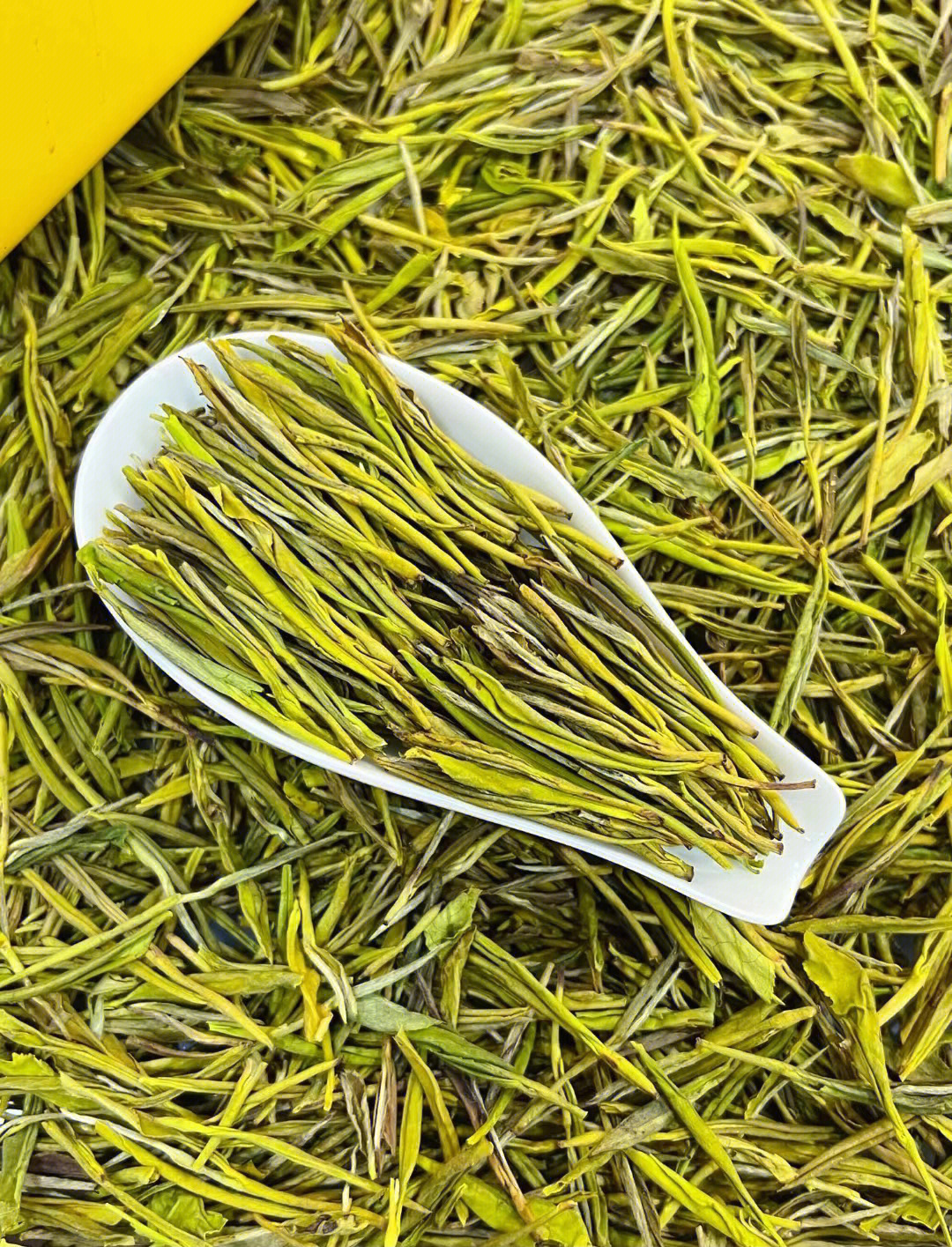 黄金芽茶叶多少钱一斤图片