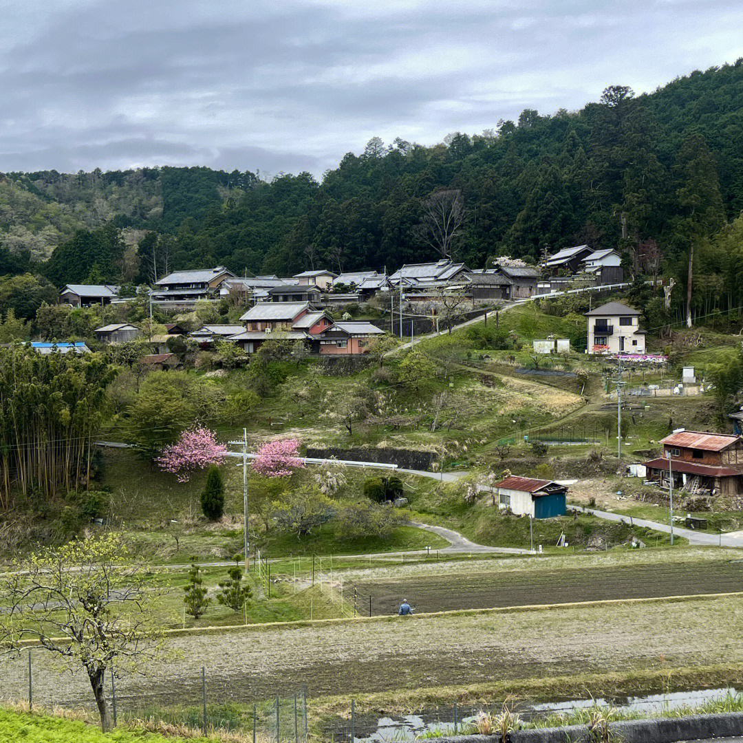 埼玉县春我部图片