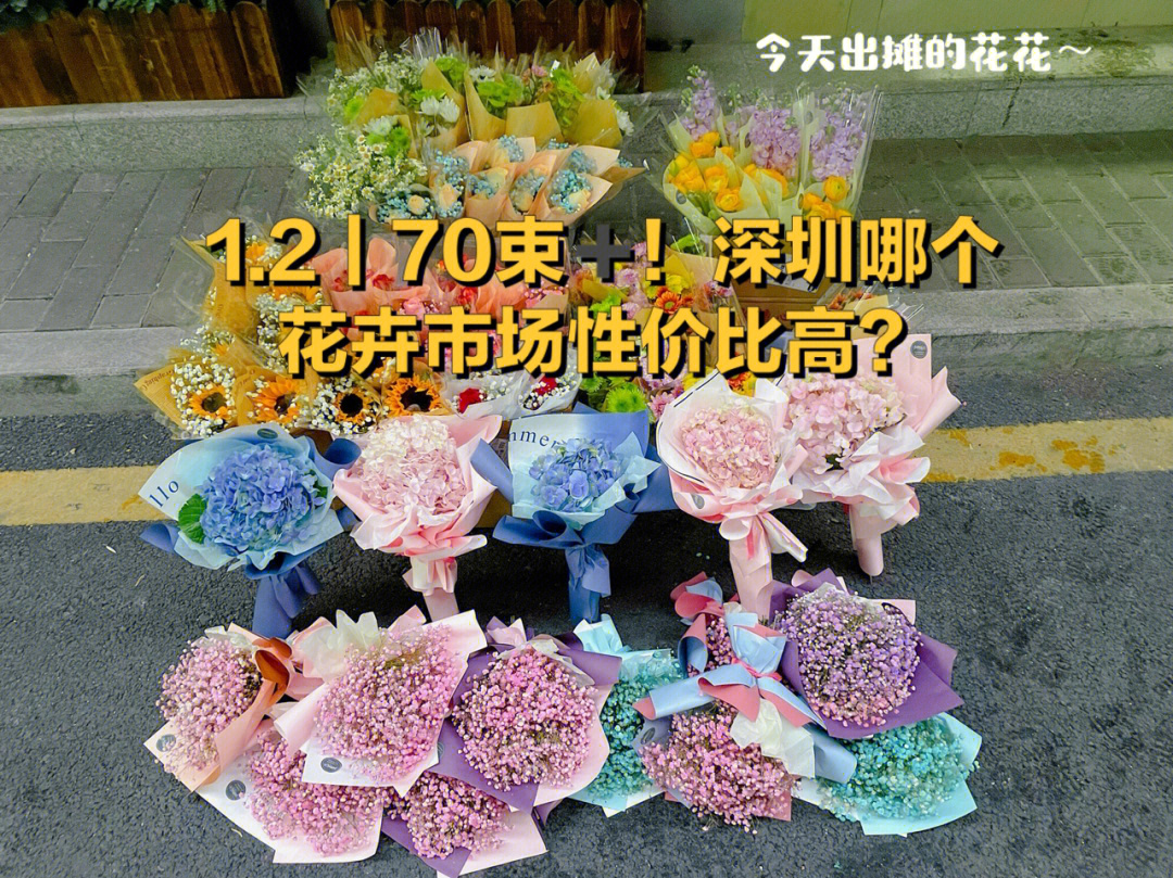 深圳坂田花卉市场图片
