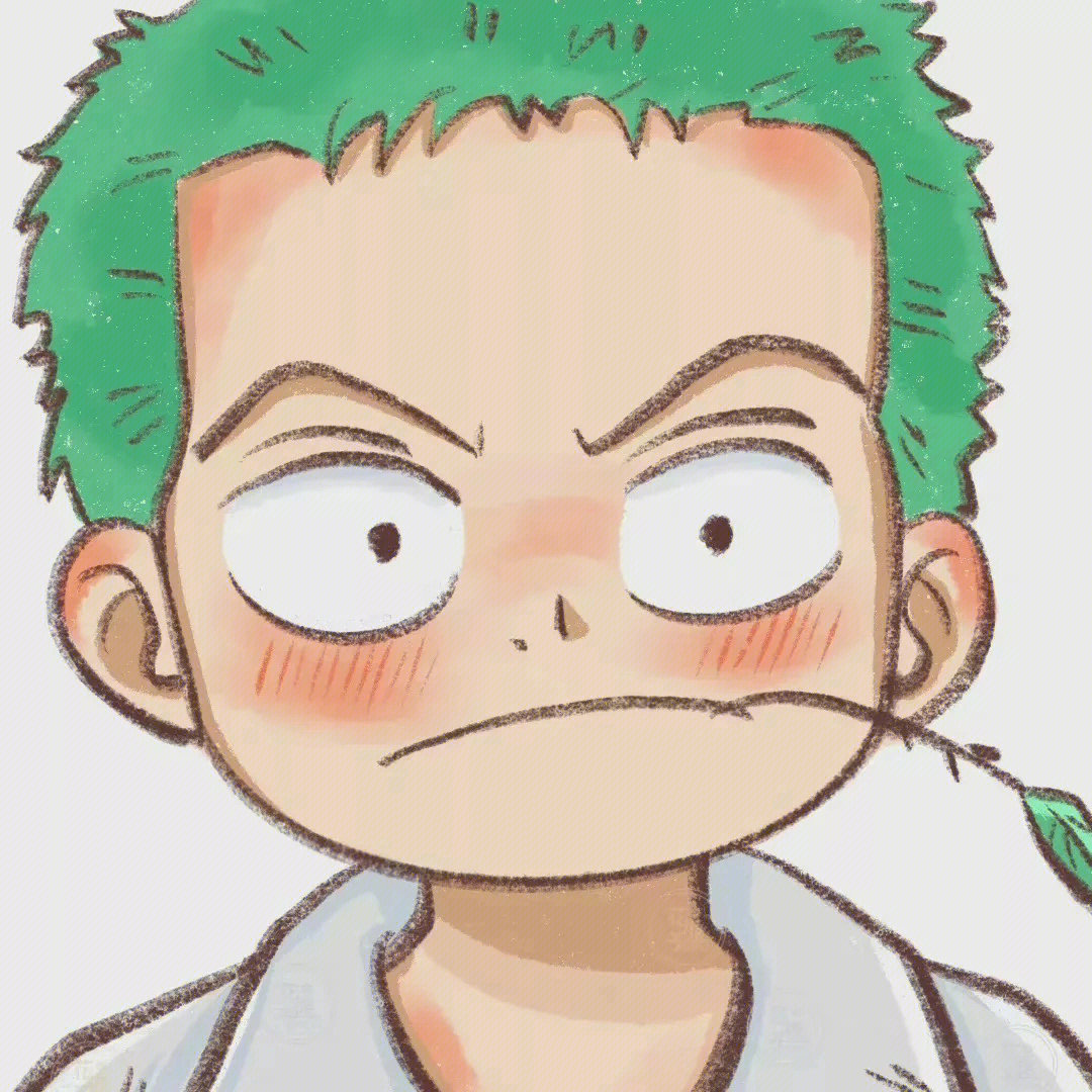索隆可爱头像