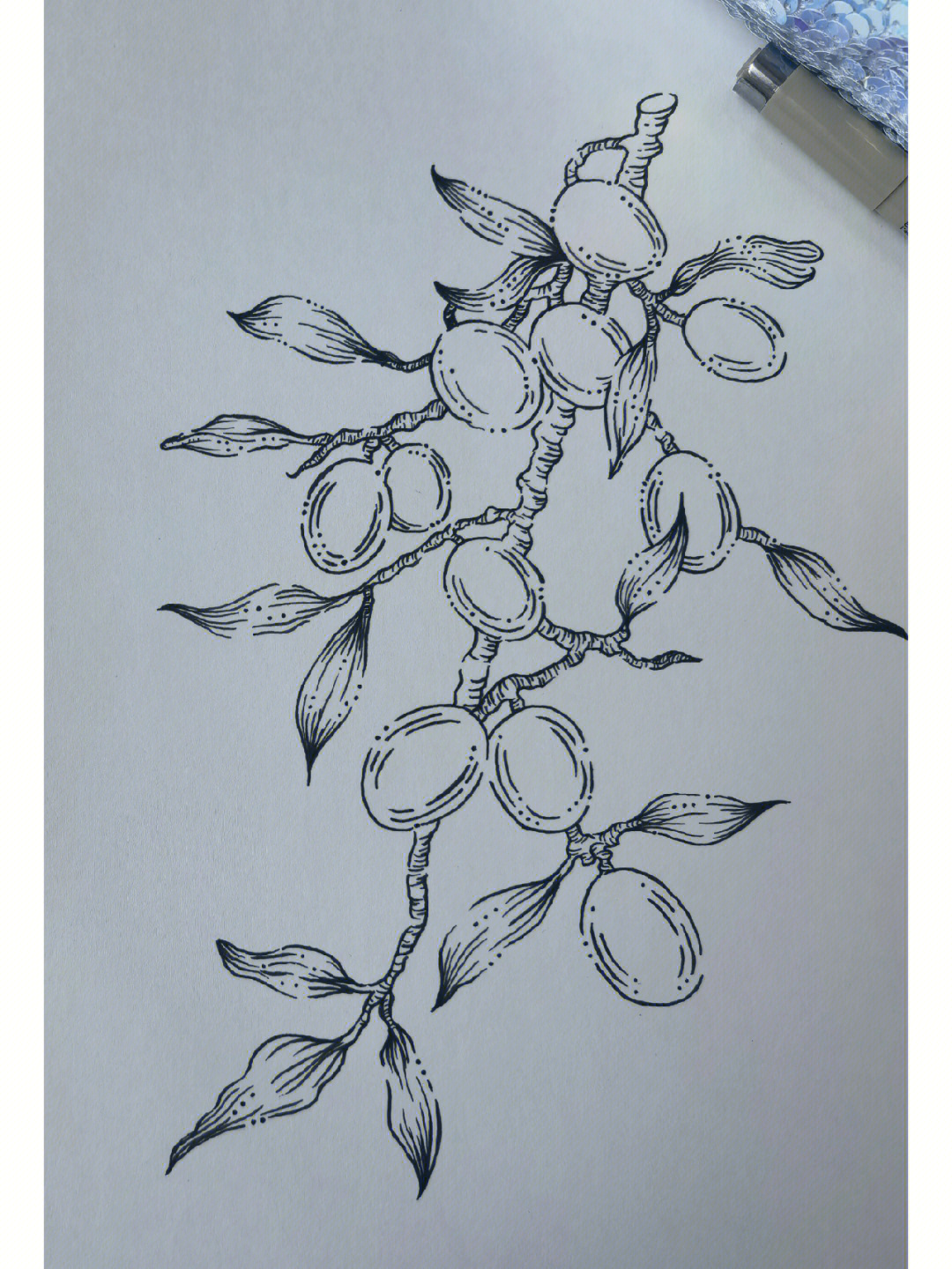 装饰花 线描图片