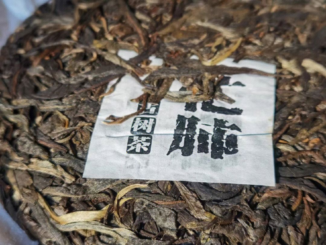 2022年忙肺正山古树茶200克饼茶