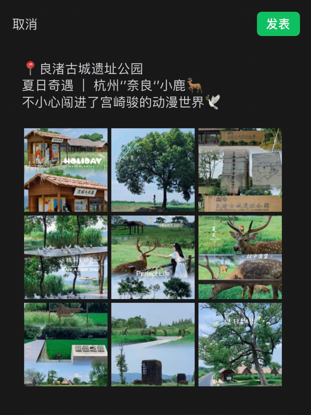 良渚古城遗址公园小报图片