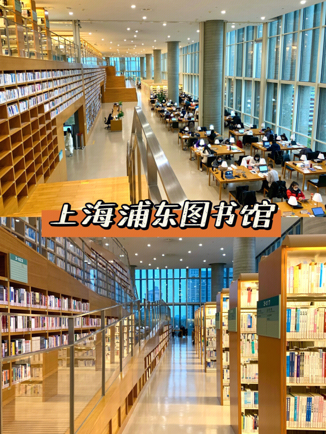 浦东图书馆设计理念图片
