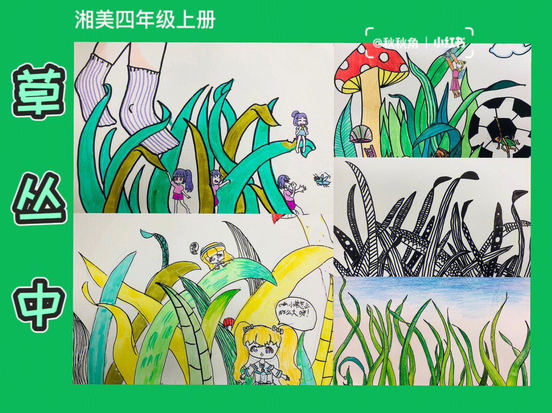 湘美四年级草丛中学生作业草绘画怎么画草
