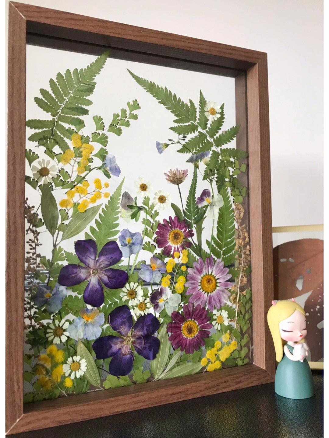 植物标本画参赛作品图片