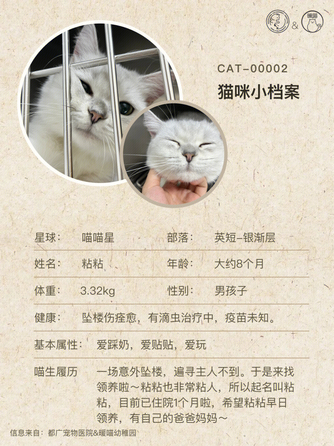 小猫动物记录卡图片