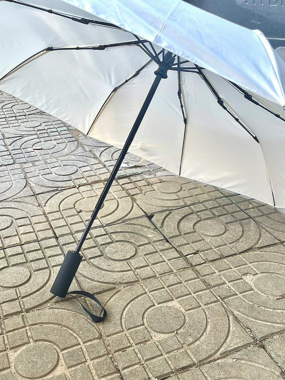 R标的雨伞图片