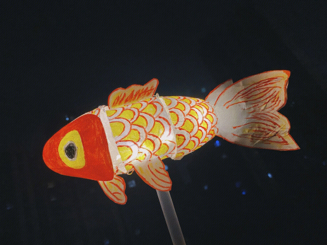 鱼灯制作方法图片