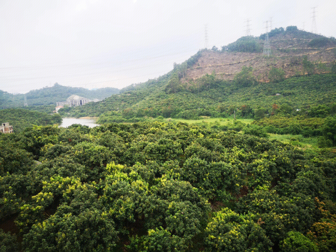 昆明花鱼塘生态果园图片