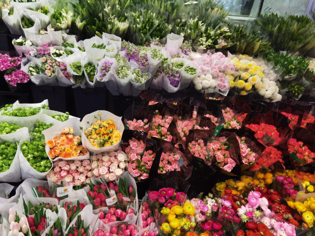 朱雀花卉市场图片
