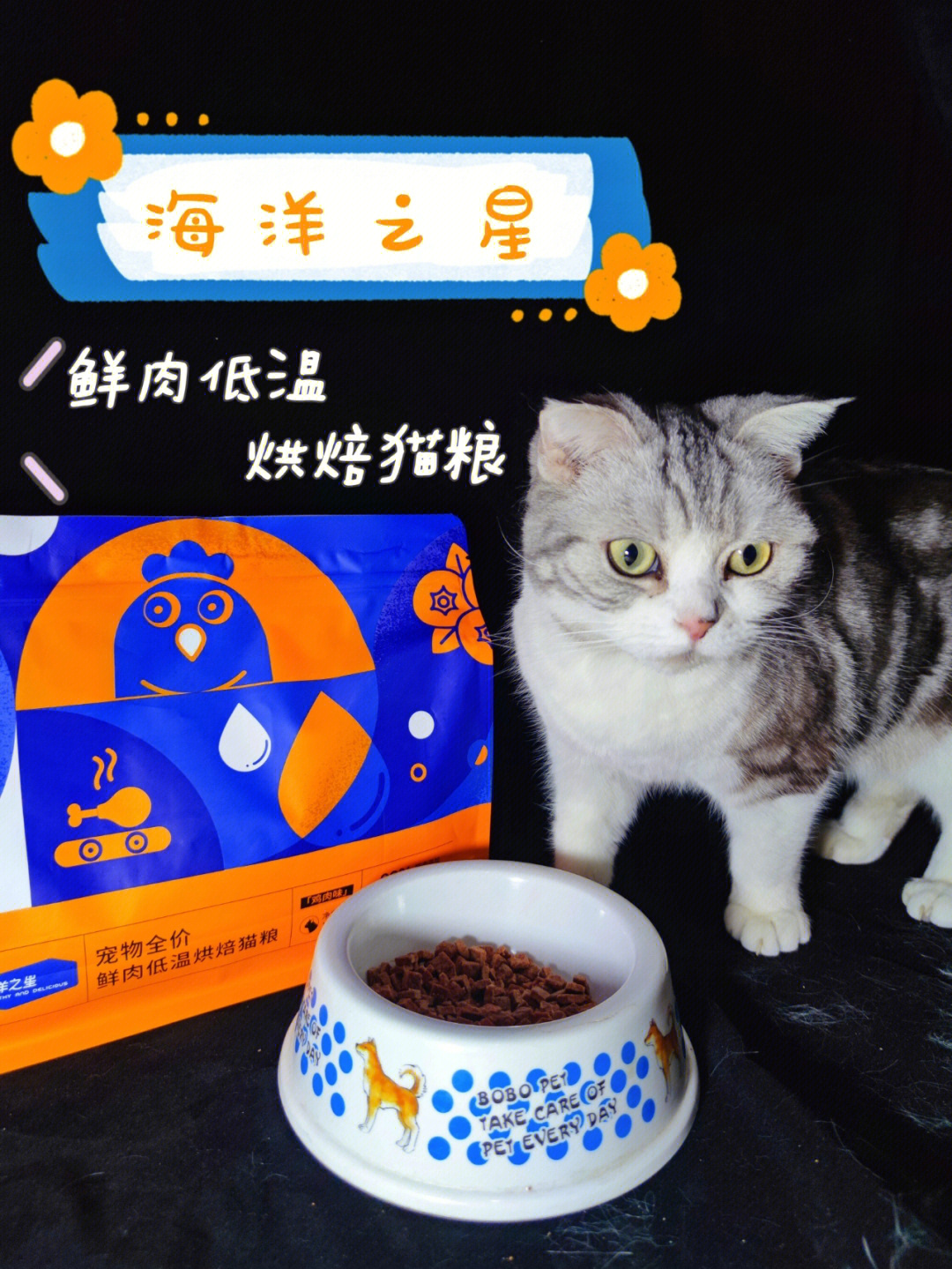 馋猫福音海洋之星全鲜肉烘焙猫粮