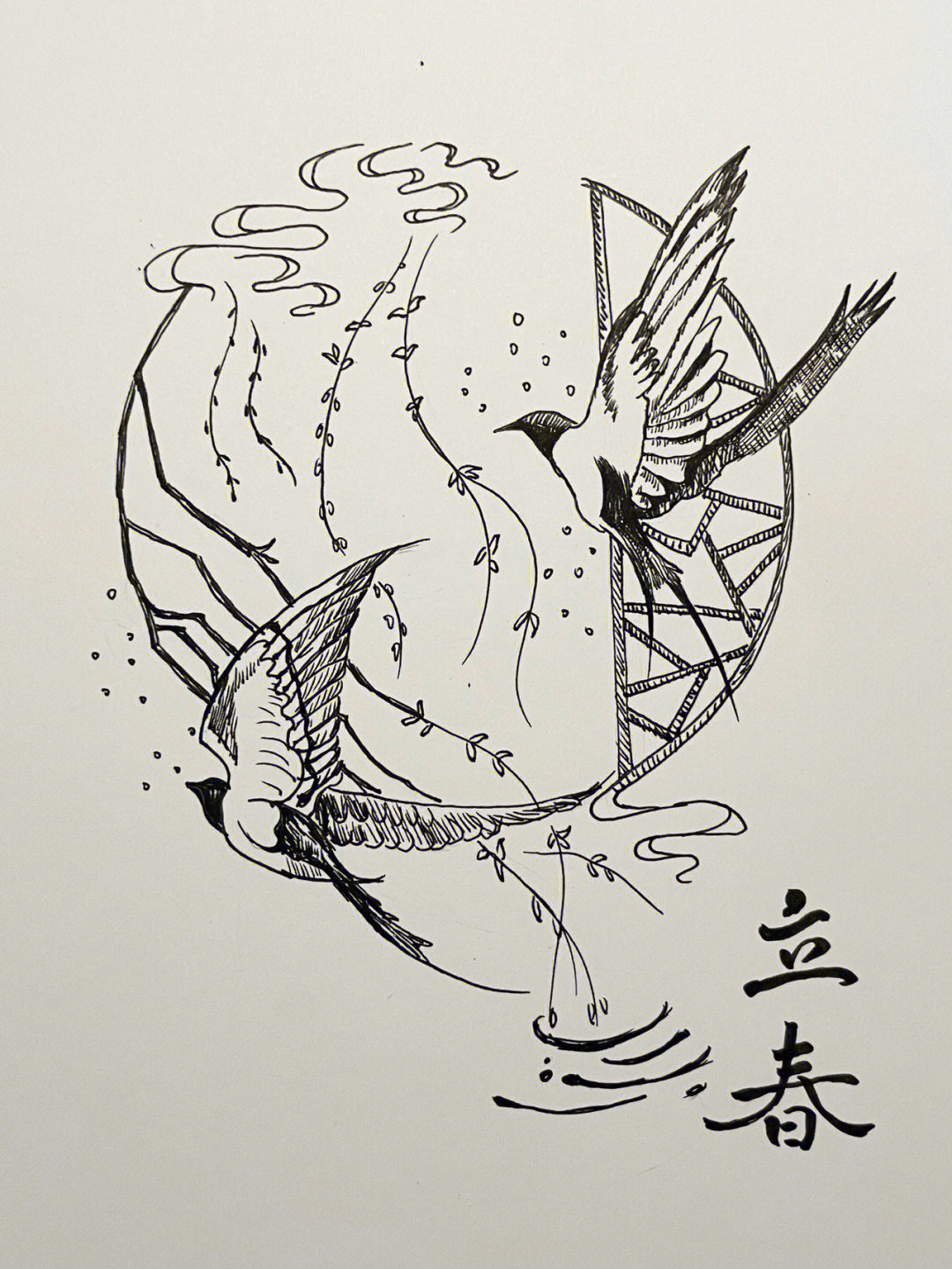 针管笔绘画24二十四节气立春翩舞的燕子