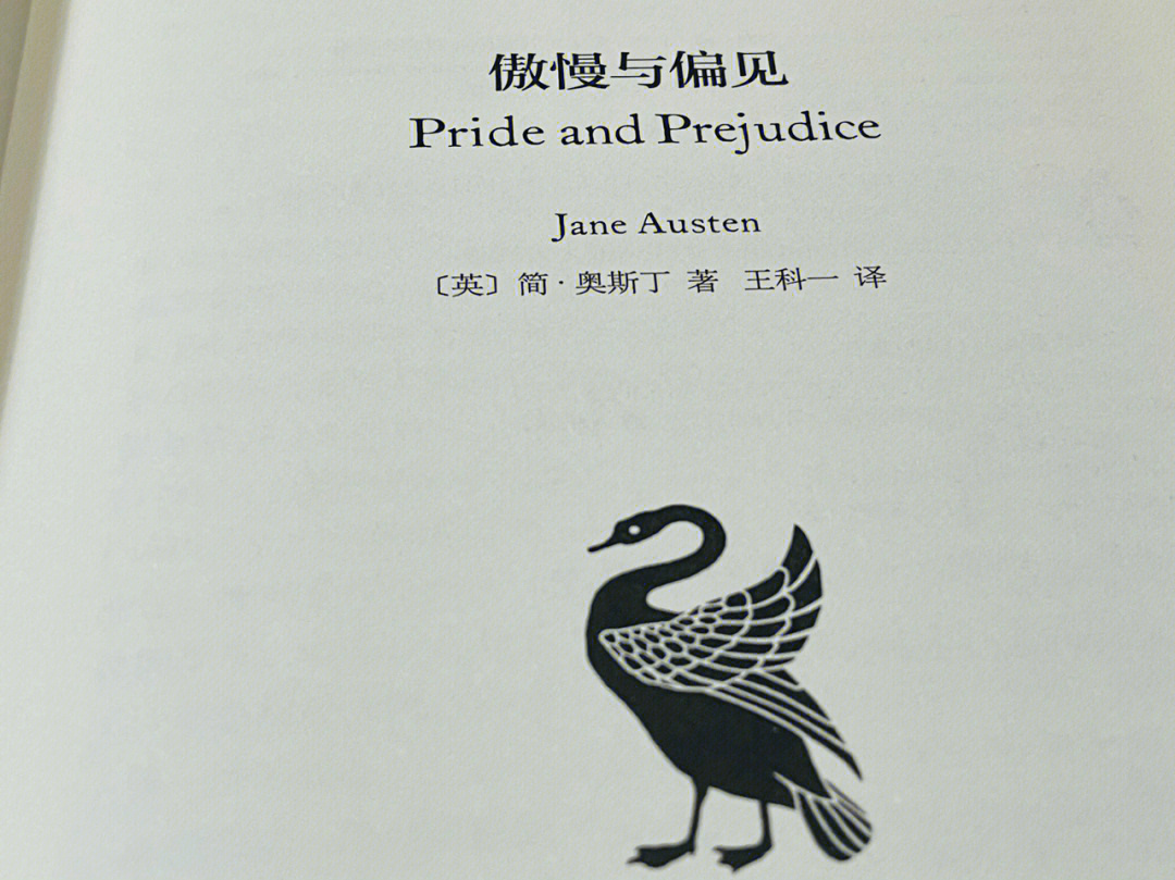 一本书用了不到一天的时间读完了,回过头去想想,二十岁的时候彬格莱的