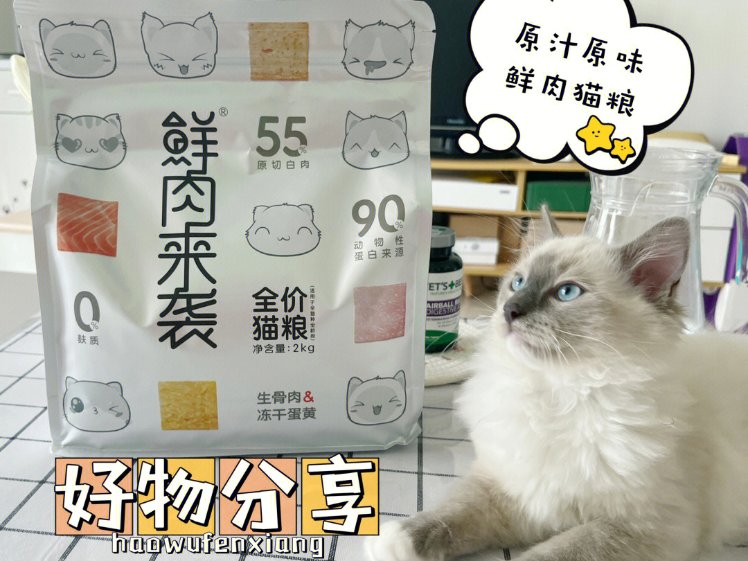 艾尔猫粮曝光图片