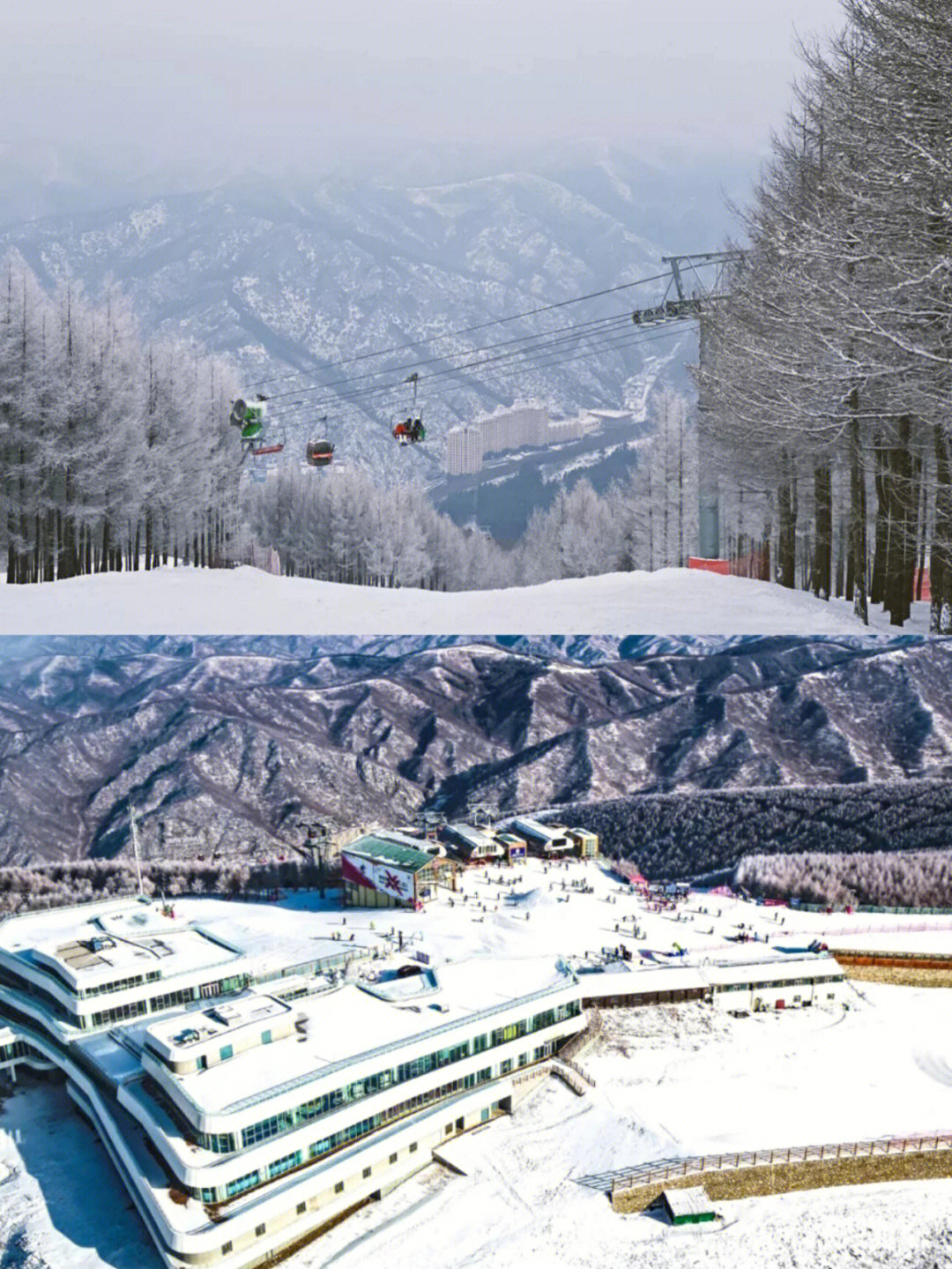 万龙滑雪场酒店图片