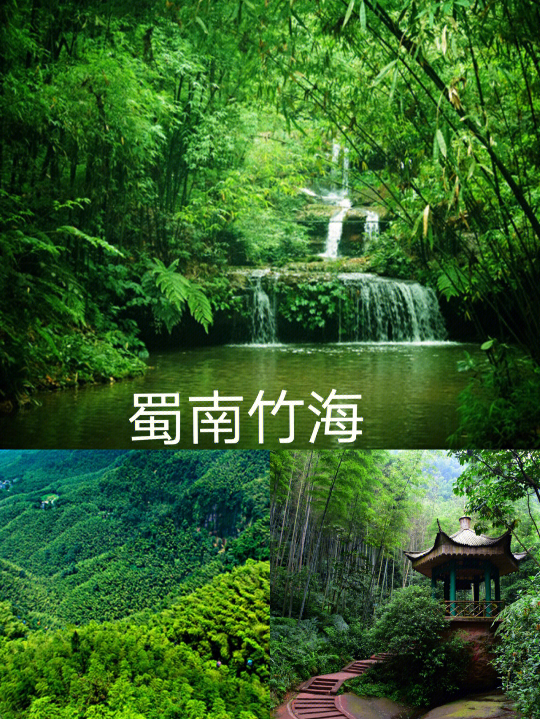 贵州竹海风景区在哪里图片
