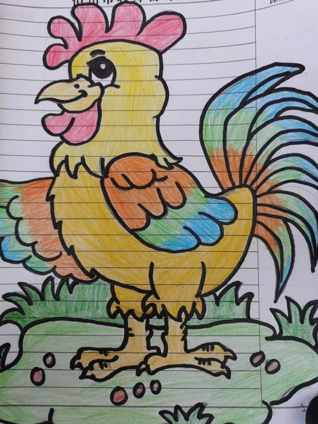 打卡儿童简笔彩铅画70美丽的大公鸡临摹