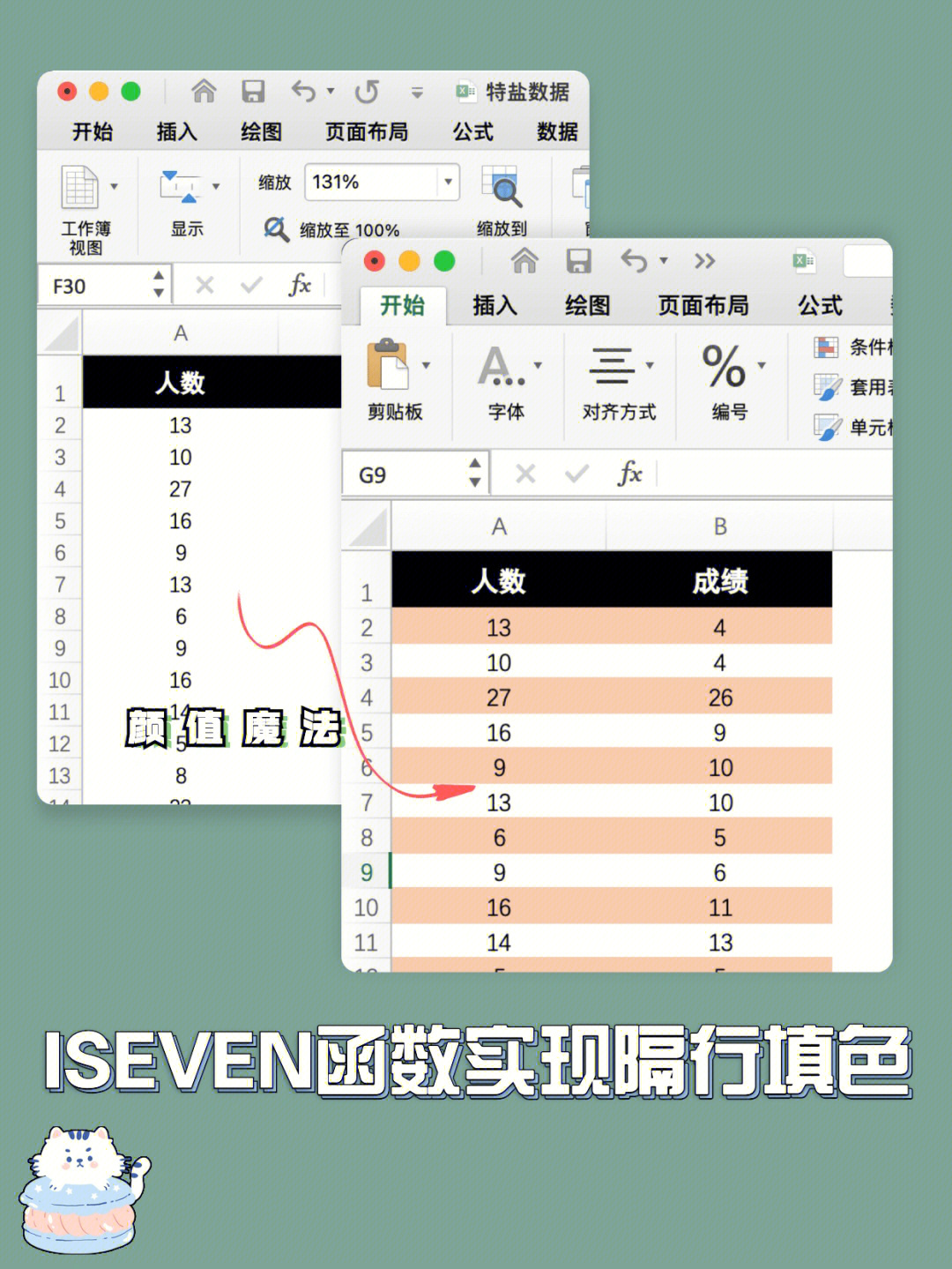 使用函数实现隔行填色9215,高颜值表格73