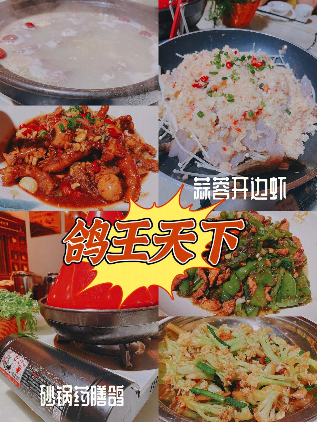 98店名:鸽王天下