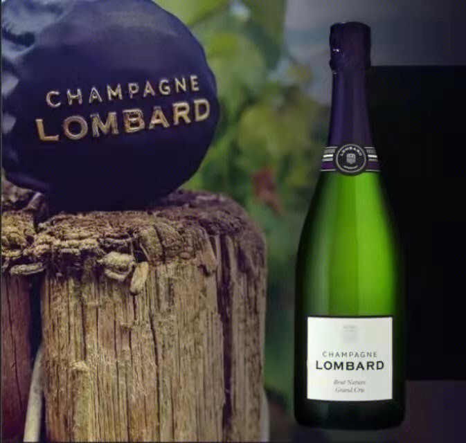 lombard香槟图片