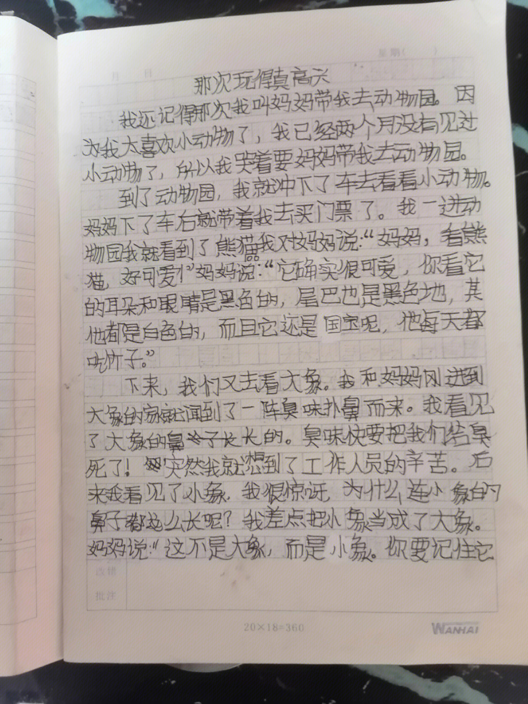 那次玩的真开心作文