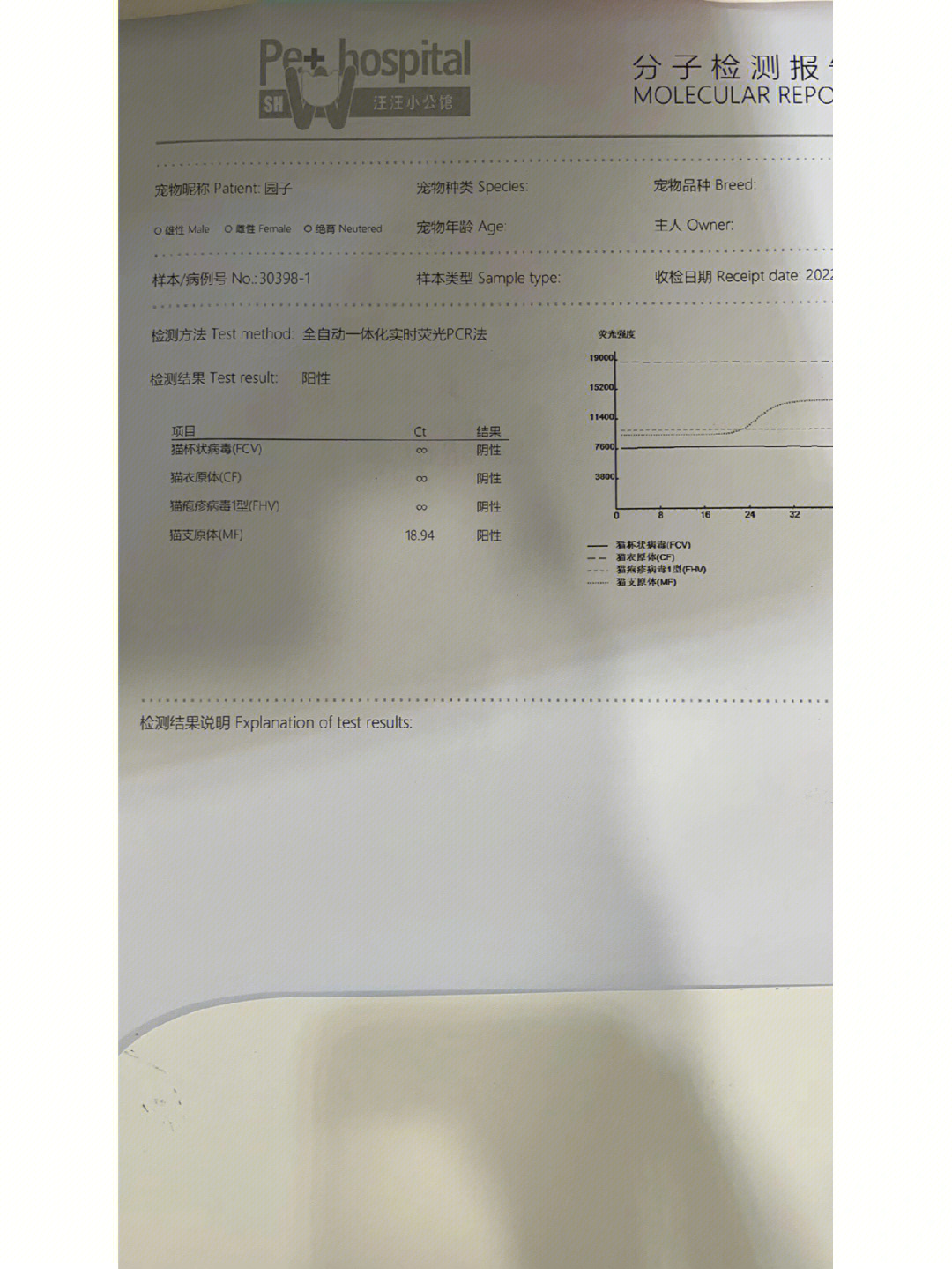 伊曲康唑胶囊处方图片