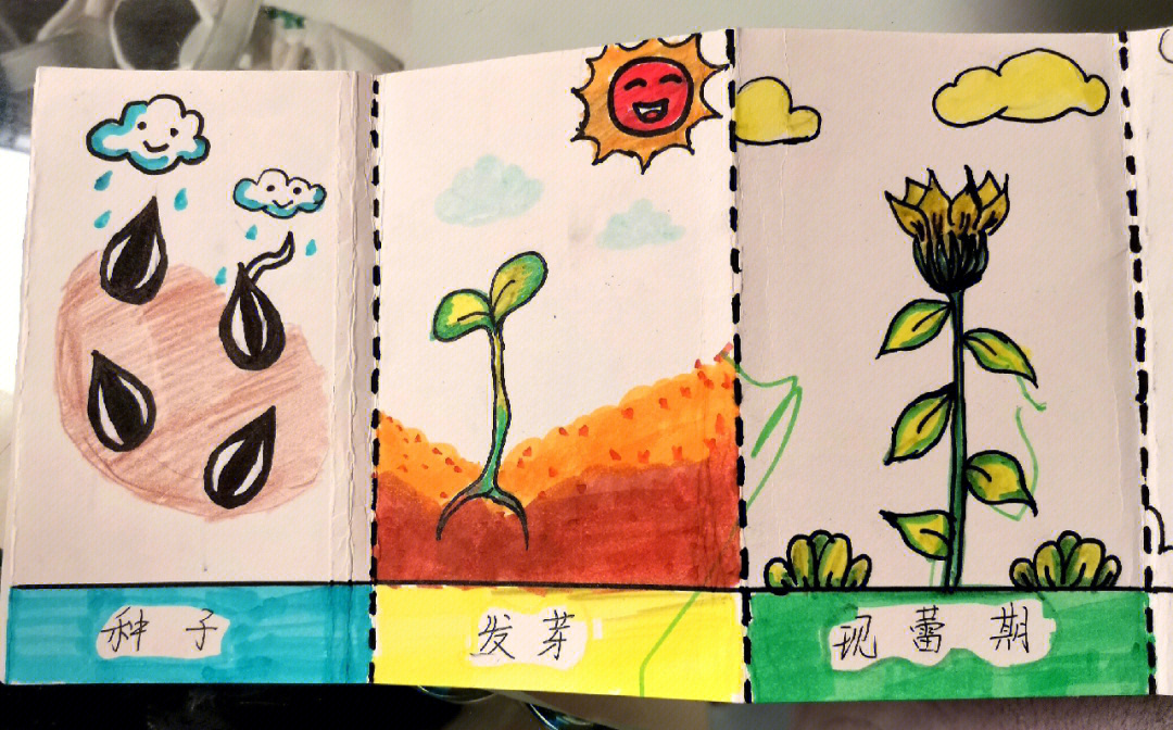 儿童创意画美术向日葵成长日记