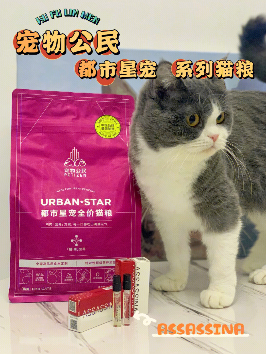 适口性超好的进口猫粮