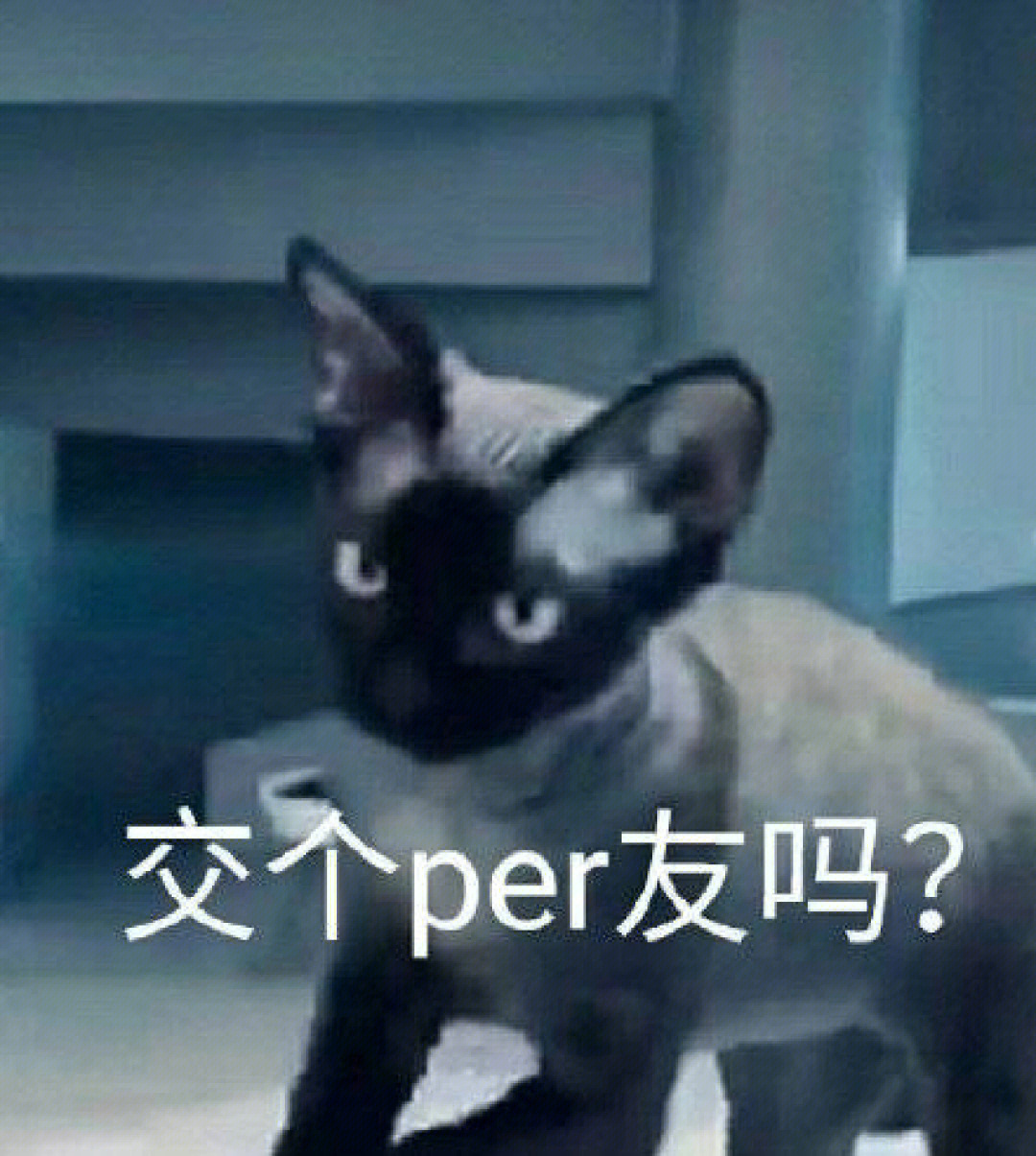 表情包之perper