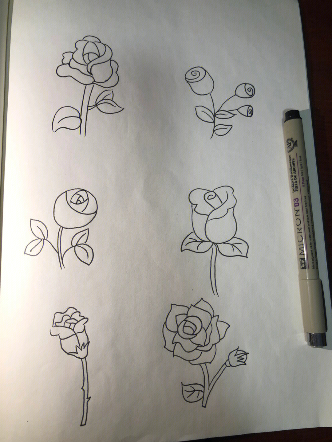 画玫瑰花的简笔画最美图片