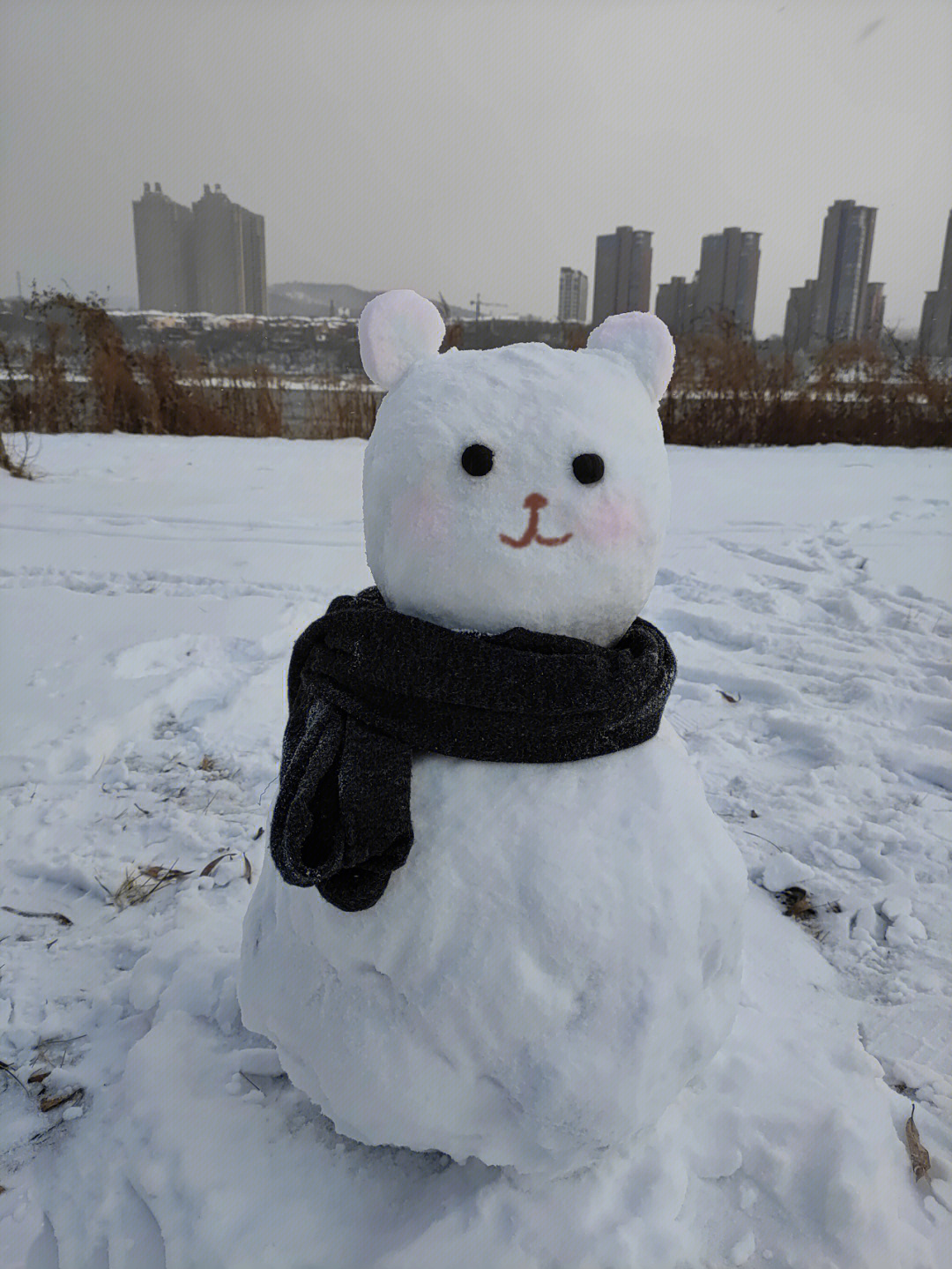 堆到了我自封的世界第一可爱小雪人70