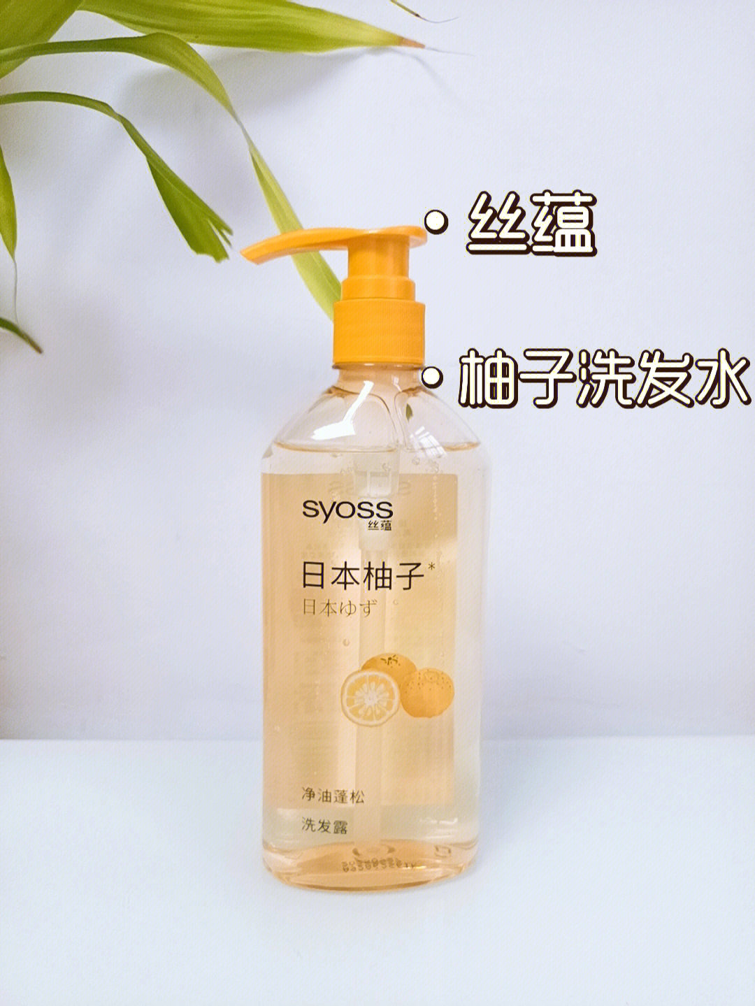 丝蕴日本柚子洗发水