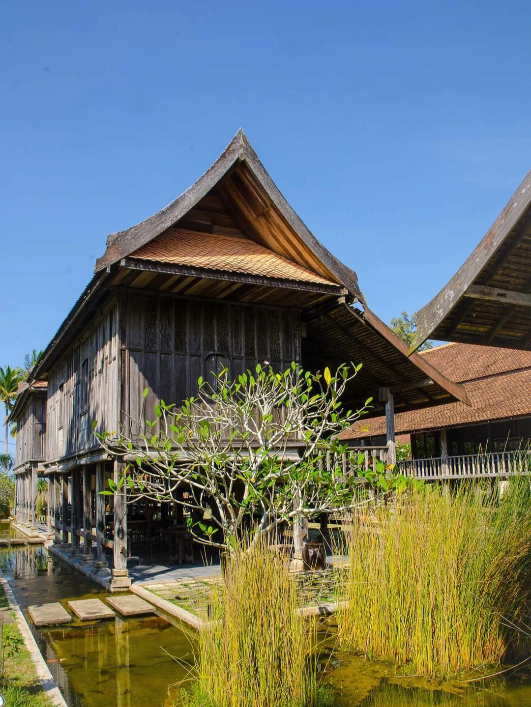椰林围绕,干净的沙滩,每间度假屋都是上百年历史的马来高脚屋传统宫殿
