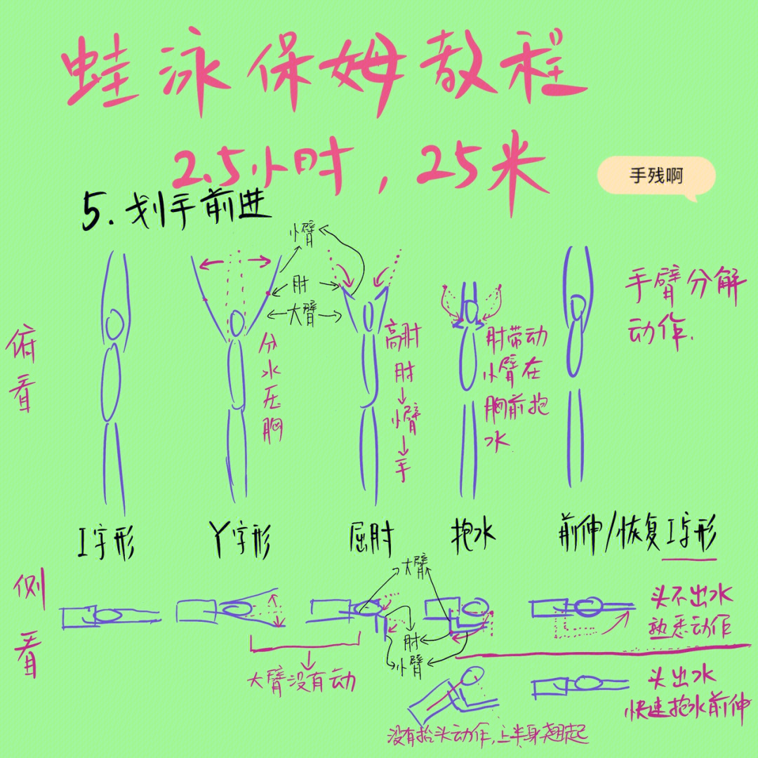 蛙泳零基础保姆教程 05