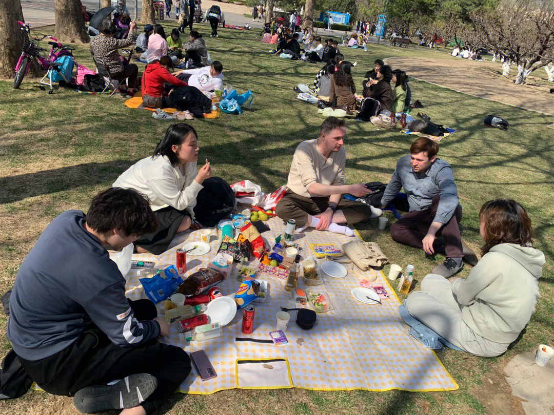 picnic time图片