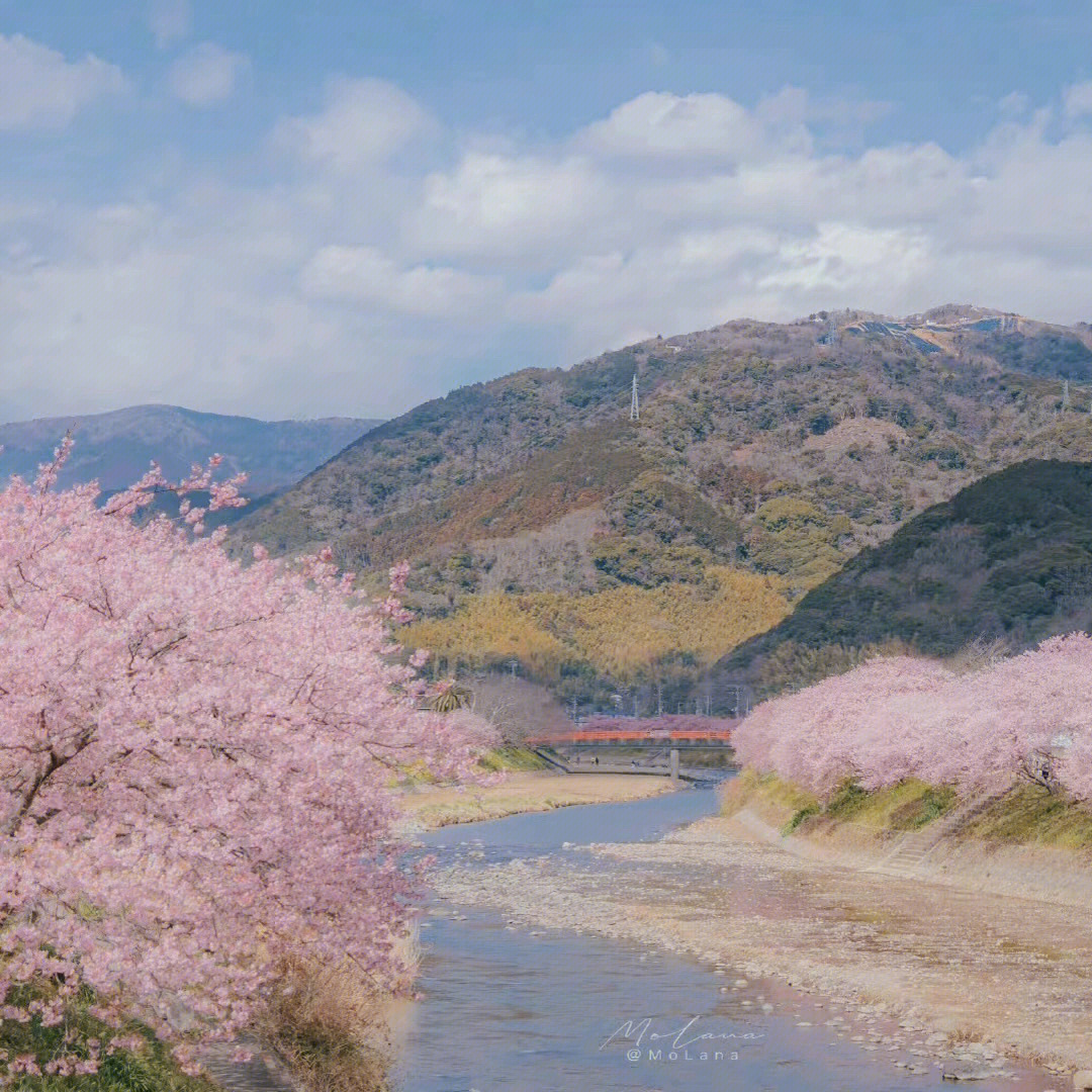 春日背景图