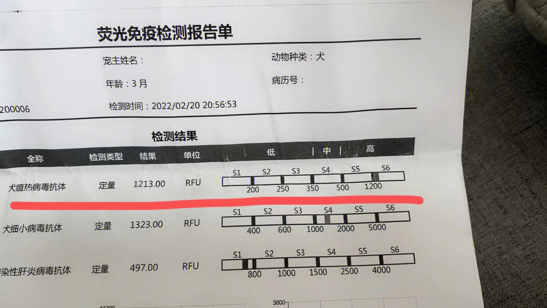 犬瘟抗体s3图片