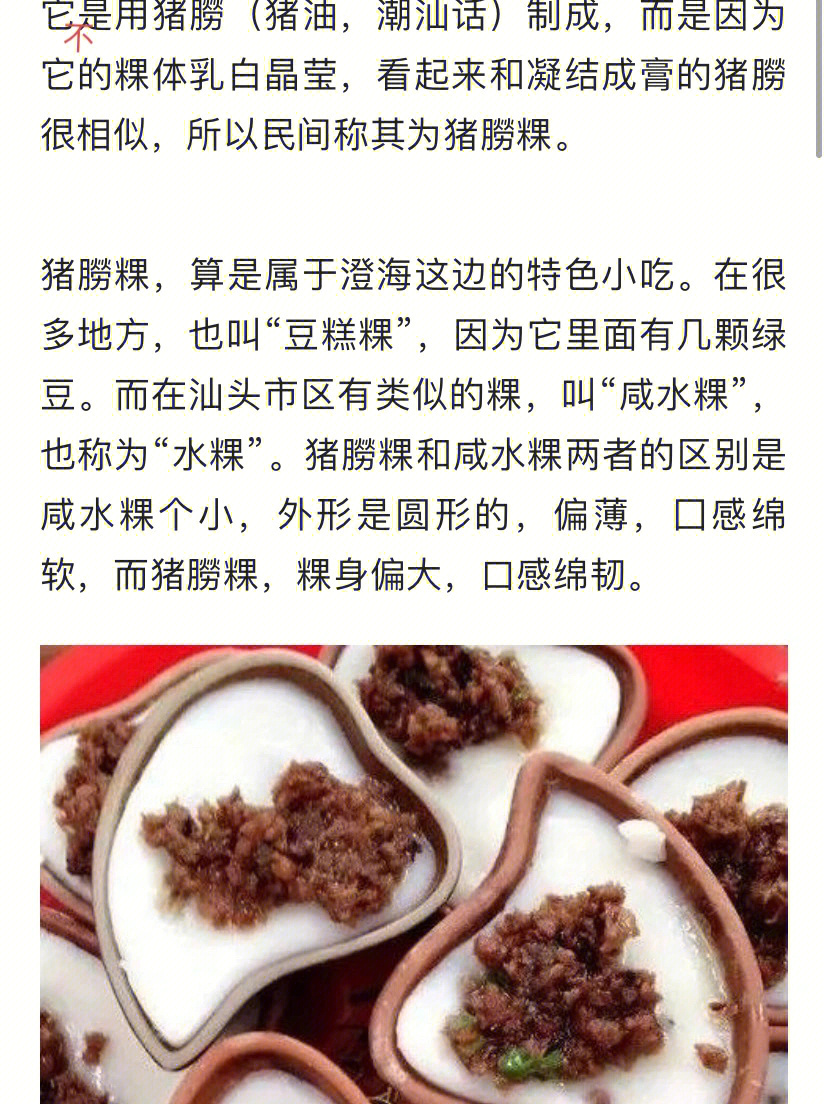 舌尖上的美食之澄海猪朥