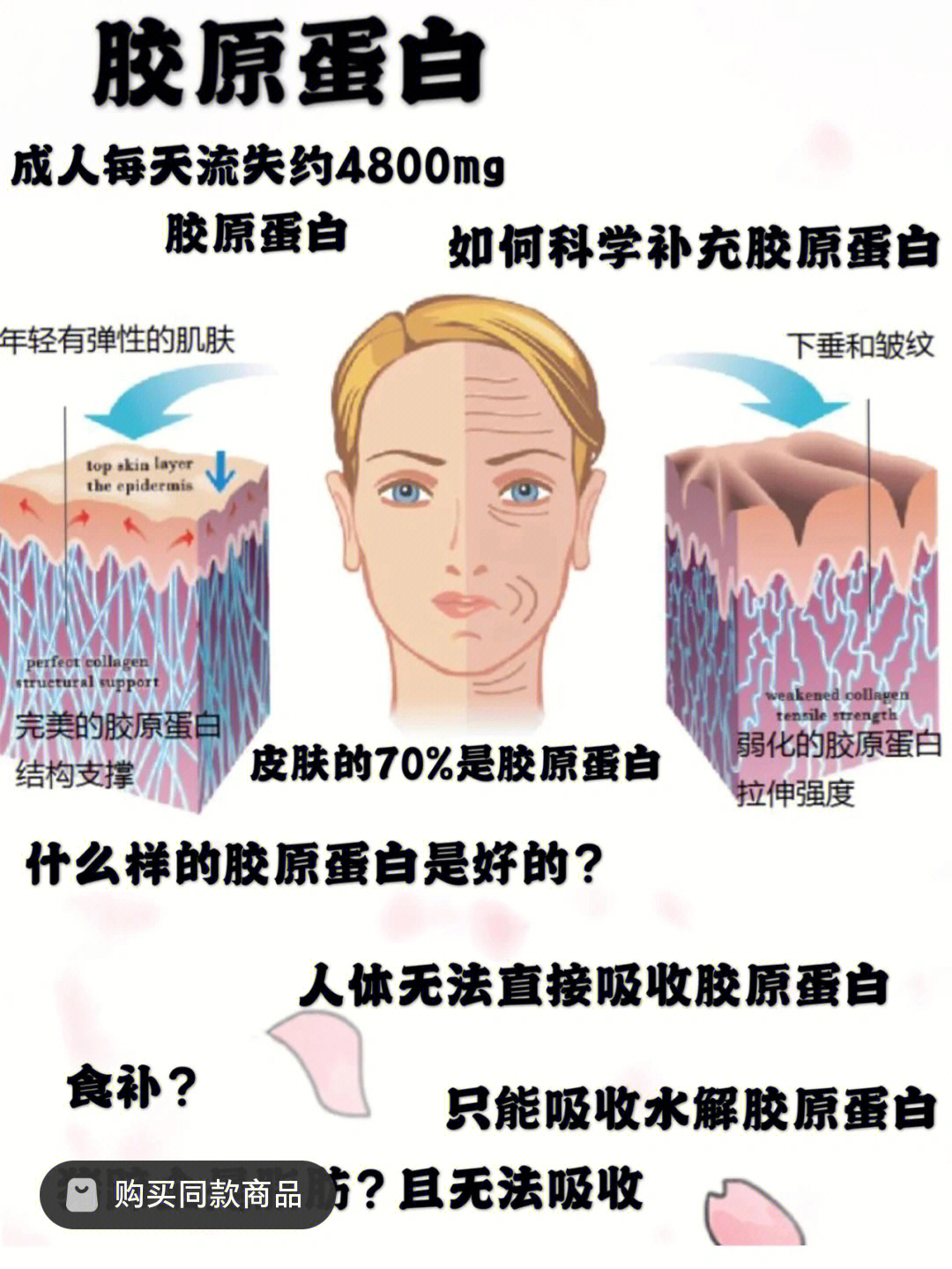 所以胶原蛋白到底有效吗