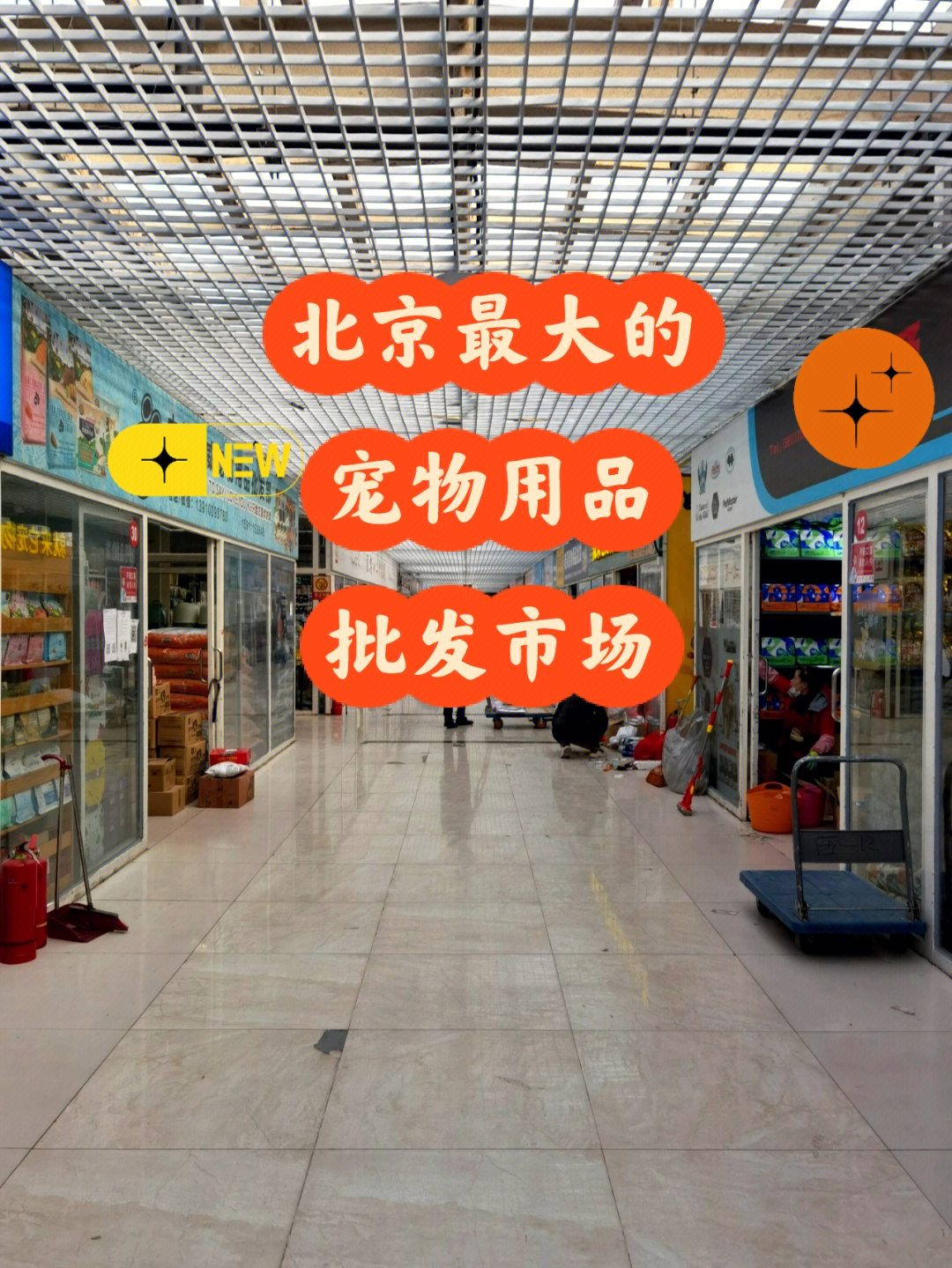 上海宠物市场(上海宠物市场一览表)