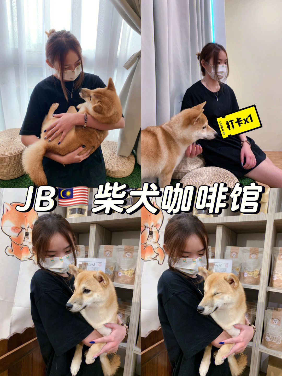 jb9890柴犬cafe 值得去吗?