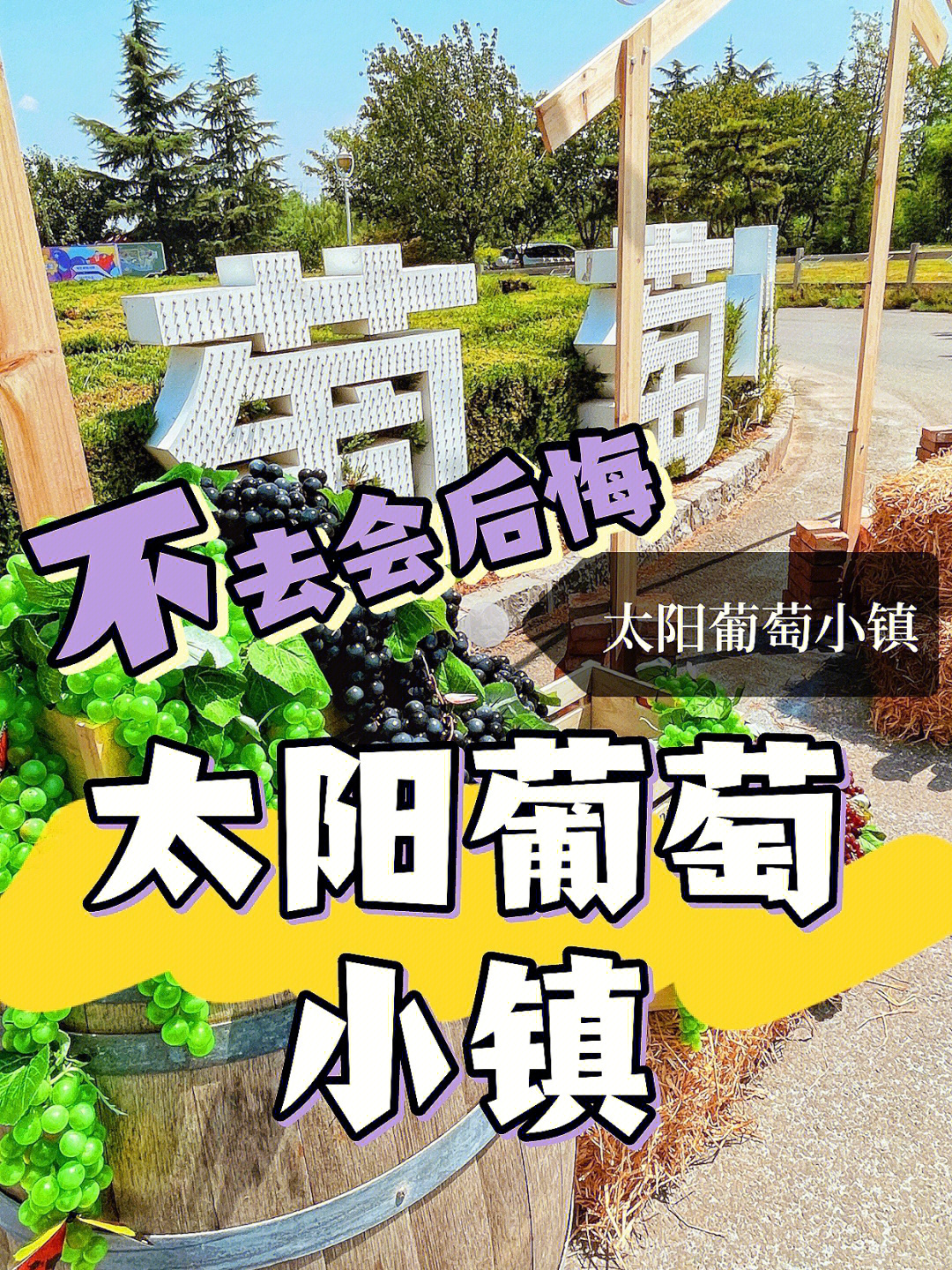 西安团建葡萄采摘小瑞士78太阳葡萄小镇