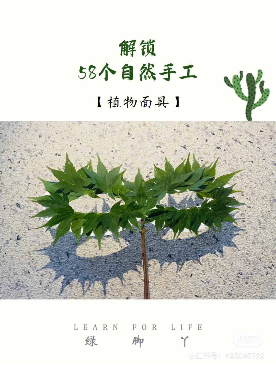 绘画植物面具教案大班图片