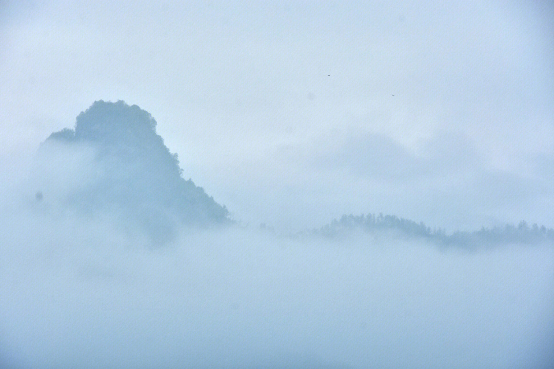 空山新雨后 背景图图片