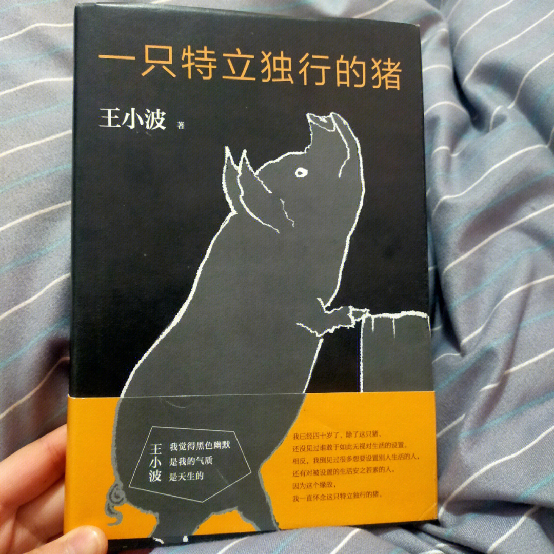 一只特立独行的猪封面图片