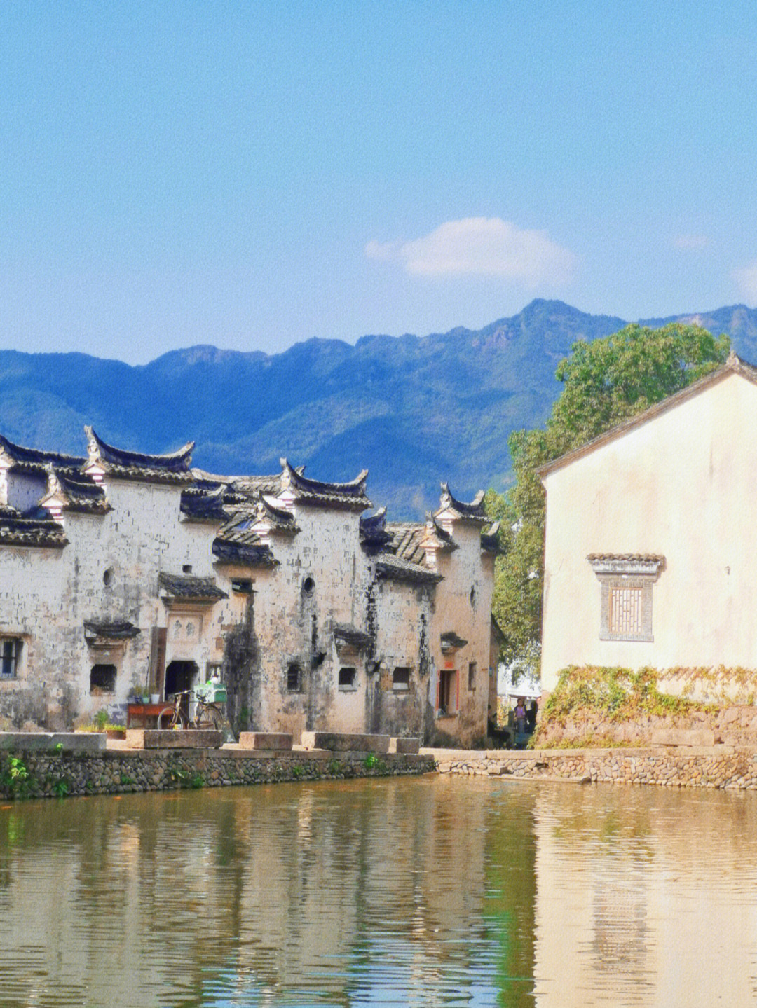 仙都河阳古名居图片