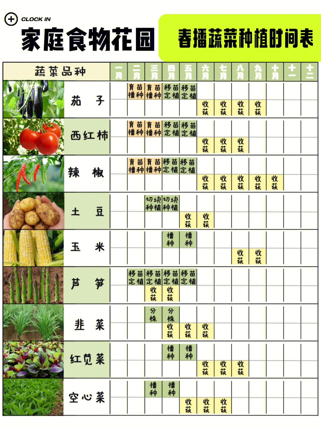 1一12月种蔬菜表图片
