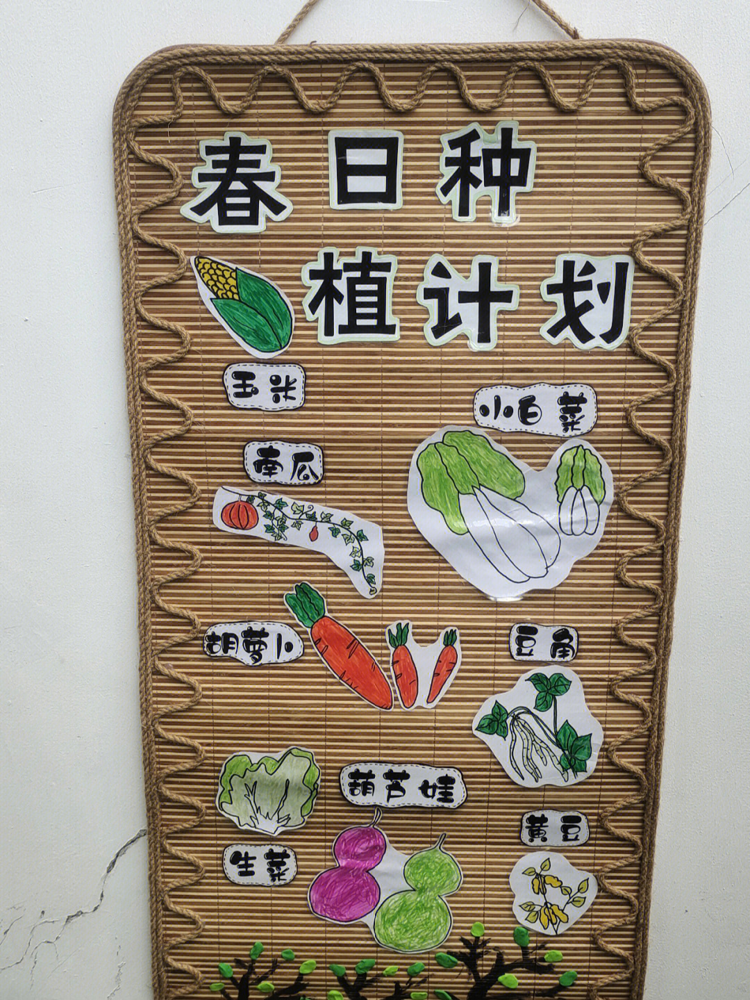 幼儿园植物种植计划表图片